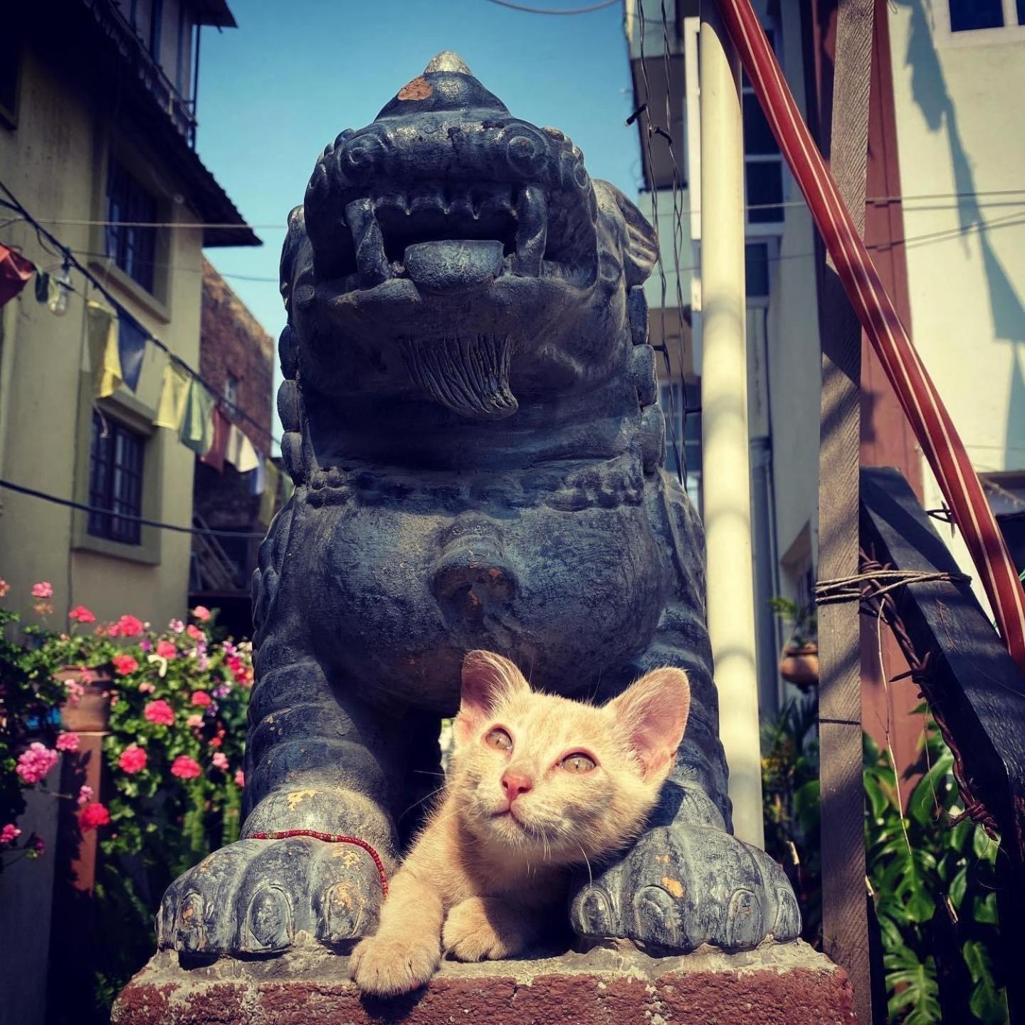 Yog Hostel Katmandu Kültér fotó
